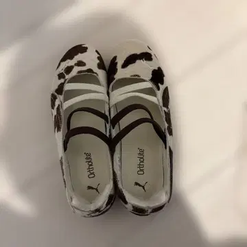 PUMA 카우 패턴 스니커즈 스피드캣