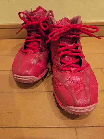 MIZUNO 웨이브 다이버즈 23.5