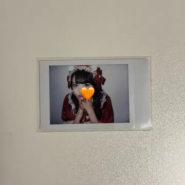 iLiFE! 코구마 마무 크리스마스 란체키