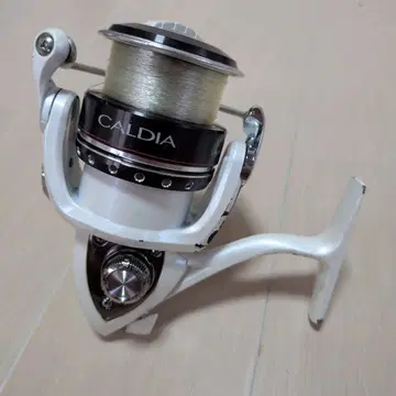 다이와 09 칼디아 3000 DAIWA CALDIA