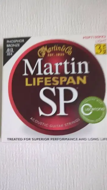 Martin 어쿠스틱 기타 줄