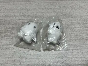 초3 아시베 QQ 고마짱 봉제 인형 마스코트 참