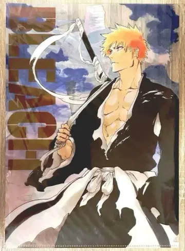 이치고 루키아 오리히메 바이햐쿠야 켄파치 쿄라쿠 BLEACH 클리어 파일