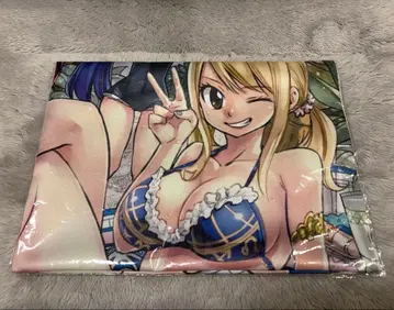 새상품 FAIRYTAIL B2 천 포스터 루시 & 엘자 & 웬디