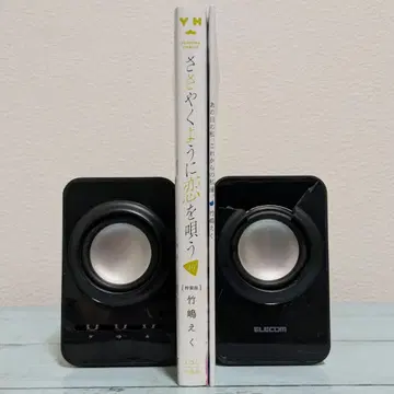 속삭이듯 사랑을 노래하다 10권 특장판 소책자 첨부 타케시마 에쿠