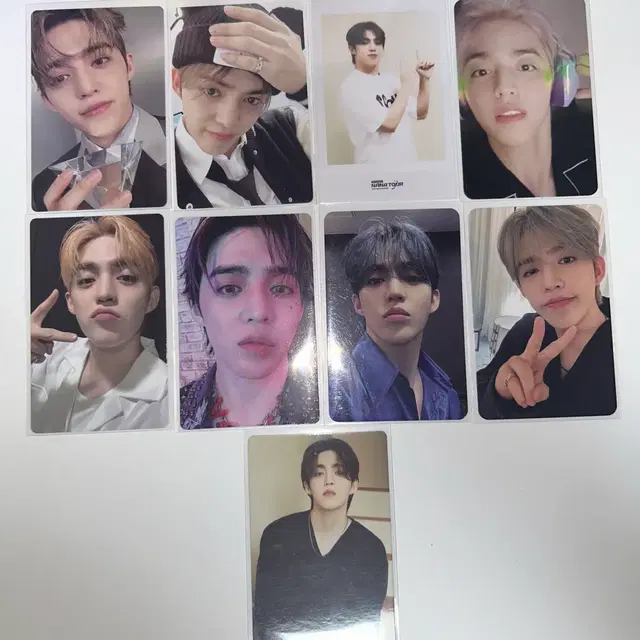 세븐틴 포카 양도
