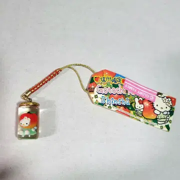 지역 한정 키티 2010년 신슈 한정판 병 사과 키티