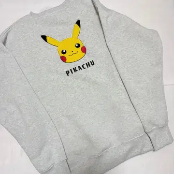 포켓몬스터 포켓몬 피카츄 아플리케 자수 아이스 그레이 LL