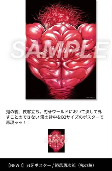 바키 박 한마 유지로 카잔 카오루 포스터 세트
