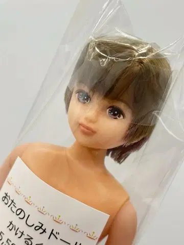 카케루군 리카짱 캐슬 오타노시미 인형 리틀팩토리