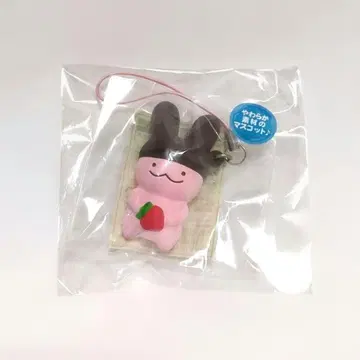 아폴로 초코 스퀴즈 아폴로짱 토끼 딸기