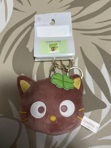 초코캣 카오참