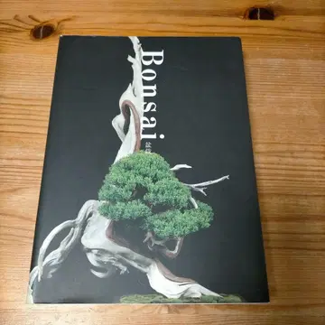 분재 2011년 초판