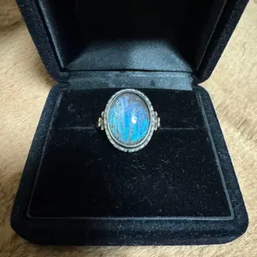 vintage silver ring Morpho 모르포 나비 반지 925