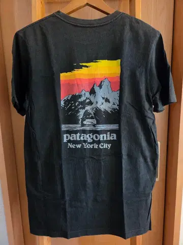 [ 레어 ] patagonia 파타고니아 T셔츠 newyork