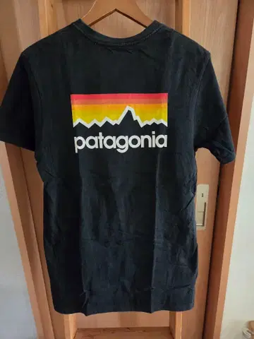[ 레어 ] patagonia 파타고니아 T셔츠