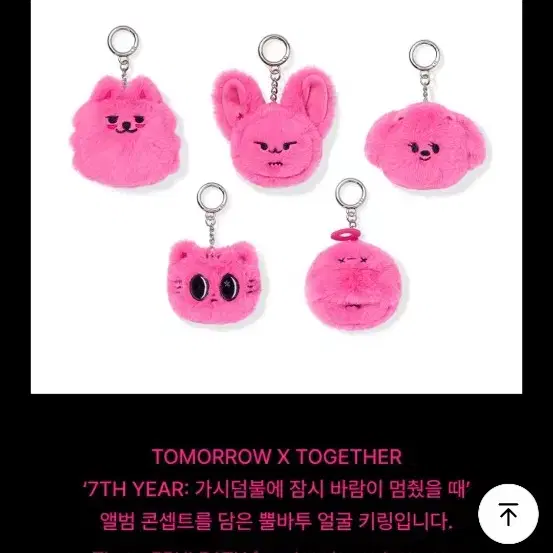 Sealed] Ppulbatu Choi Yong-meong Holiday Version Keyring | Bunjang