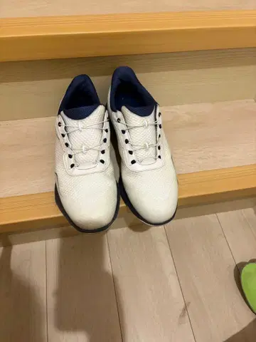FootJoy 골프화 53380J 26.5cm