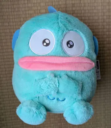 한교동 동글동글 앉아 초BIG 봉제 인형 촉촉 눈