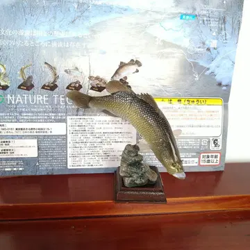 네이처 테크니컬러 일본의 청류 증보 특장판 아카메 [ 미개봉품 ]