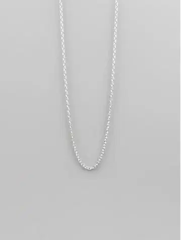 UNKNOWN. U118 ' AZUKICHAIN2 ' NECKLACE
