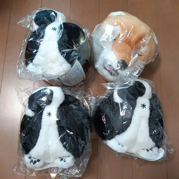 충견SHIBA 시리즈 봉제 인형 4세트 보물 주머니 홀더