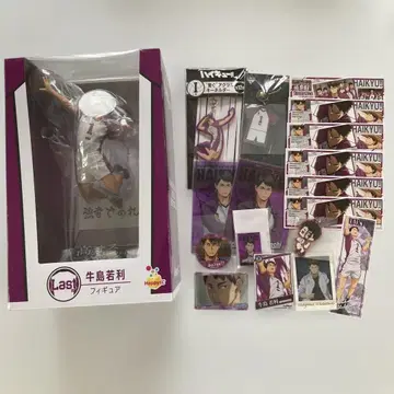 HaP P y 복권 하이큐 라스트상 우시지마 와카토시 덤 포함