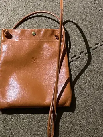 IL BISONTE 사코슈