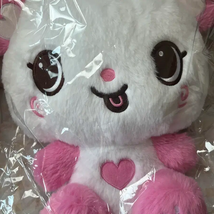 Nct wish 30cm giant wish doll Sakuya Pangyi wts | Bunjang Global