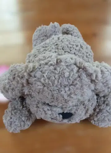 유리!!! on ICE 제일복권 A상 마카친 말랑봉제인형
