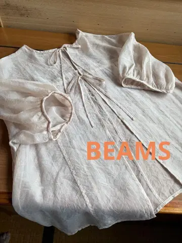 Ray BEAMS 오간자 퍼프 슬리브 블라우스