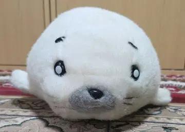 소년 아시베 지타바타 고마짱 동작 확인 완료
