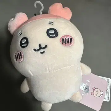 치이카와 헌책방 카니쨩