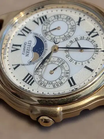 시티즌 citizen 6300 G30518 Y 부동품 문페이즈