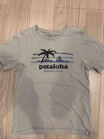 [ 새상품급 ] 하와이 한정판 patagonia T셔츠 XS