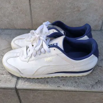 PUMA ROMA 푸마 로마 26cm 화이트