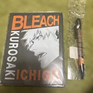 BLEACH 쿠로사키 이치고 거울 샤프