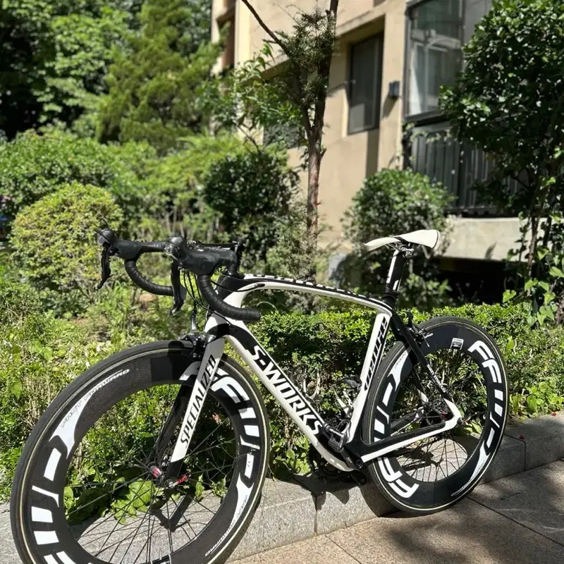 스페셜라이즈드 S-WORKS 벤지