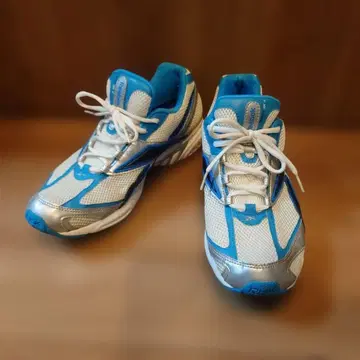 Reebok TAIKAN NK II 스니커즈 26cm