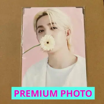 SEVENTEEN CAFE in SEOUL 프리미엄 사진 에스쿱스