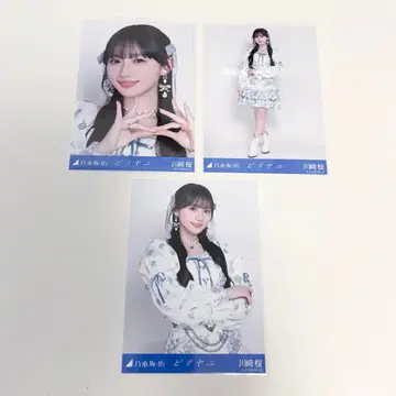 카와사키 사쿠라 비리야니 컴프