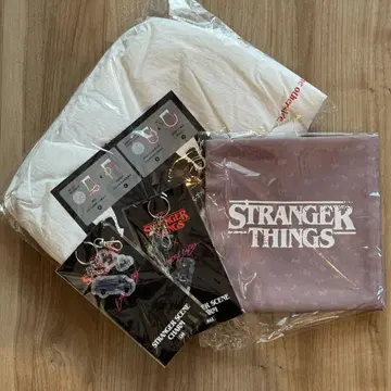 ENDRECHERI Stranger Things 백 참 매트