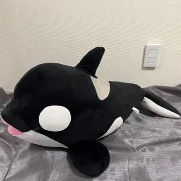 고베 스마 시월드 수족관 봉제 인형 초BIG 70cm 범고래