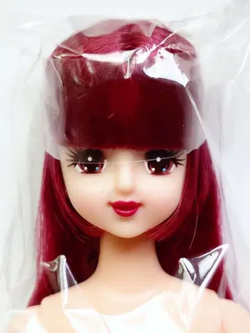 즐거운 인형 초대 제니 인형 본체 리카짱 캐슬 마린