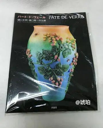 파트 드 베일 히구치 치아키 히구치 신이치 작품집