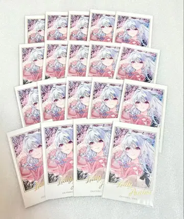 fgo OVER THE SAME SKY 포트레이트 세트 레이디 아발론