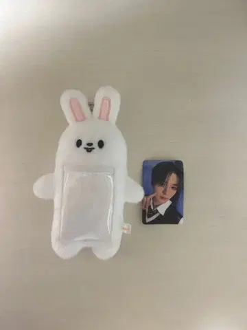 straykids 스키즈 리노 리빗 트레카 포토카드 홀더