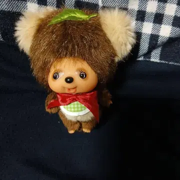너구리 너구리 빅 얼굴 몽치치
