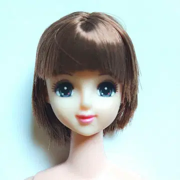 리카짱 캐슬 제니 인형 본체 인형 교실