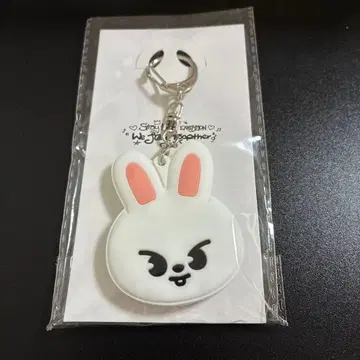 스키즈 straykids 리빗 키 커버 전시회 skzoo